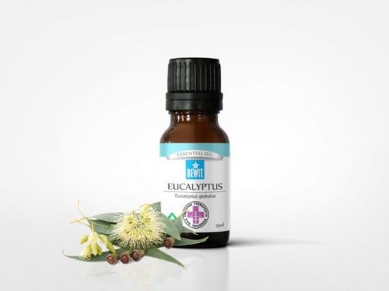 EUKALYPTUS - 100% čistý esenciální olej 15 ml